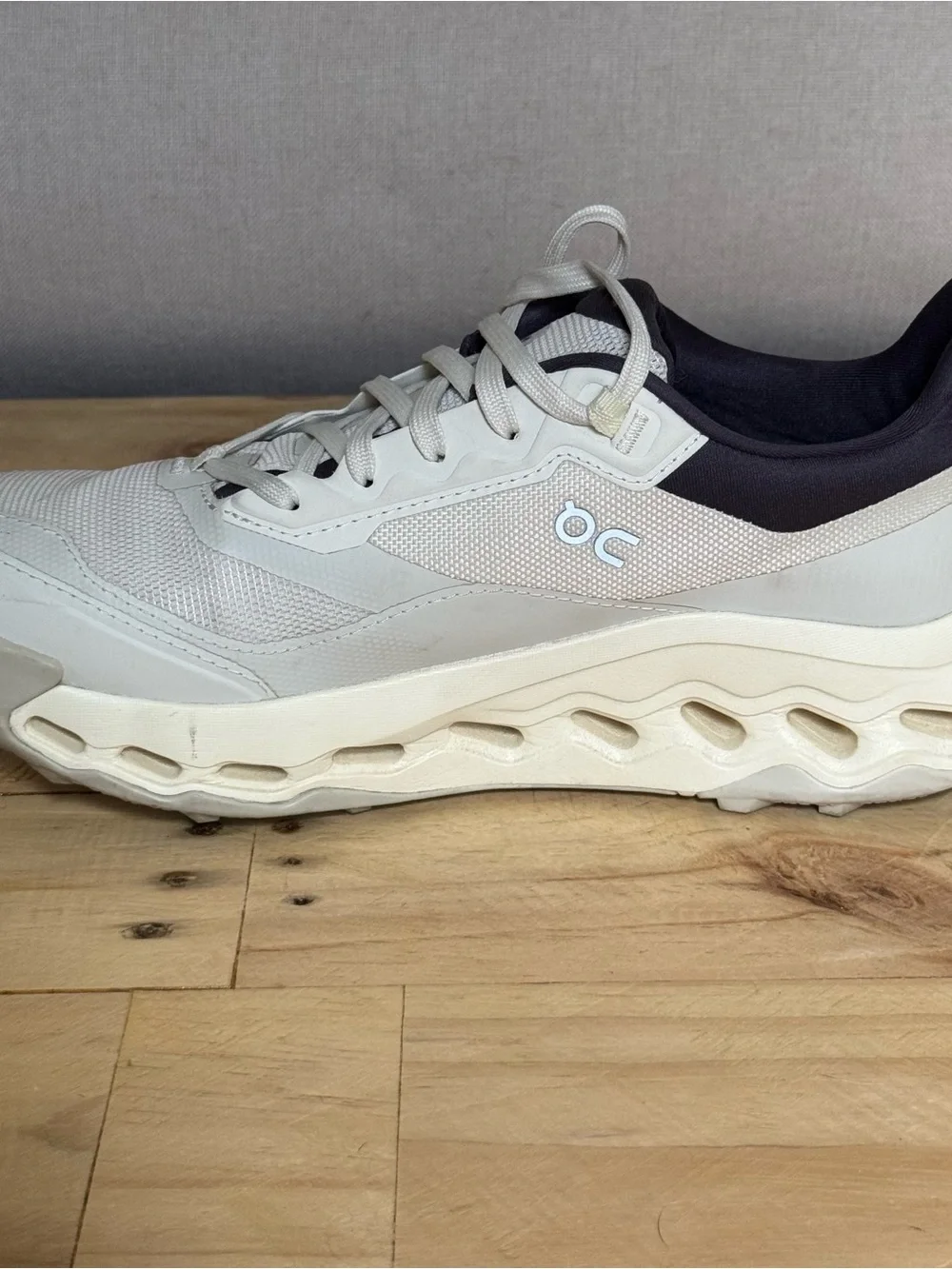ON Cloudhorizon 2 Women size 9